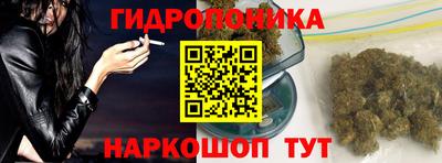 скорость Аргун