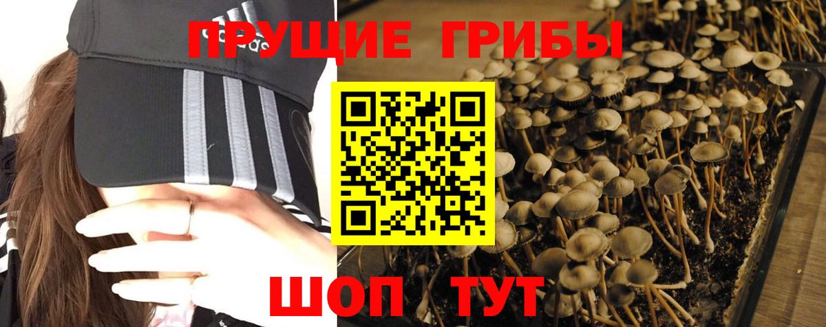 Галлюциногенные грибы Psilocybe  Галлюциногенные грибы Psilocybine cubensis  Астрахань  Вход с VPN 